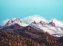 开云网站-胡卫东：亚洲杯对王俊杰&amp;amp;胡金秋印象深 希望男篮未来顺利进军奥运