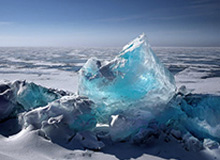 开云体育红利：开启体育娱乐的新纪元